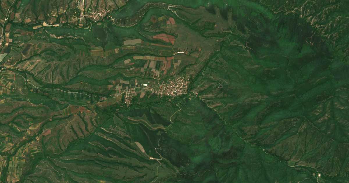 Carte satellite de Petrovo