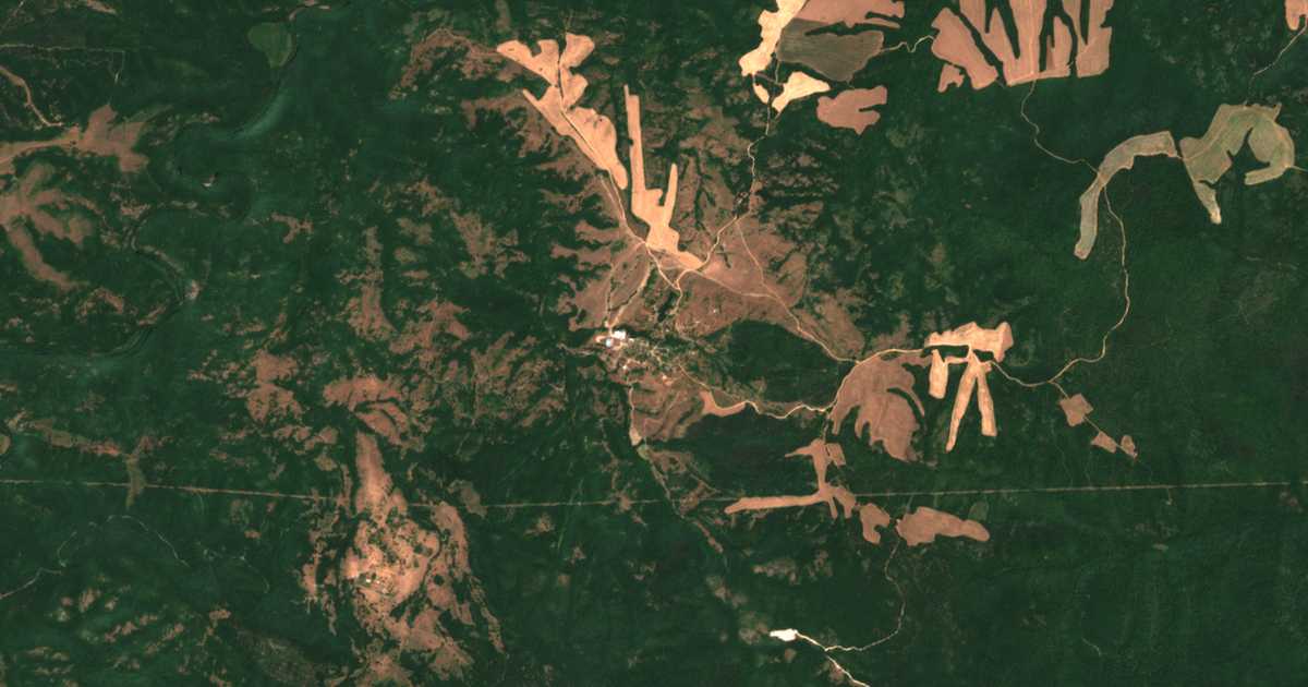 Carte satellite de Bogdanovo