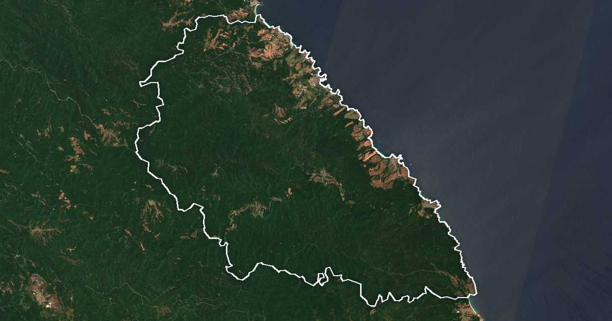 Image satellite avec la limite tracée: Tsarévo