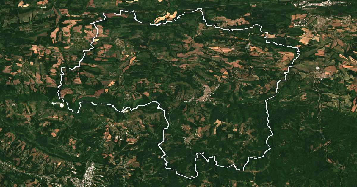 Image satellite avec la limite tracée: Dryanovo