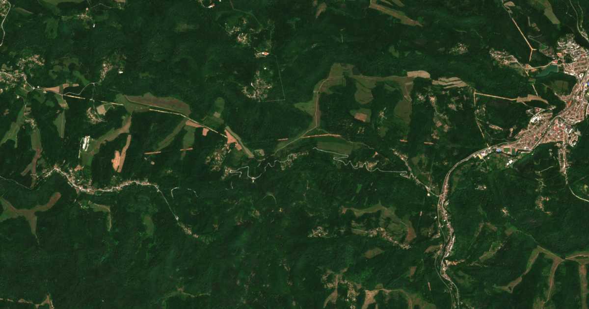 Carte satellite de Nikolaevo