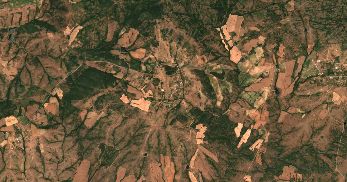 Carte satellite de Branitsa