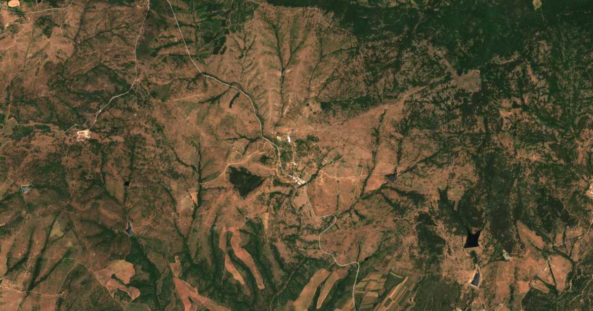Carte satellite de Dripchevo