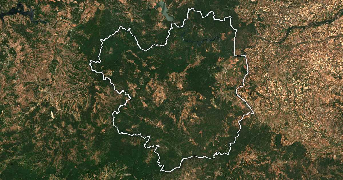 Image satellite avec la limite tracée: Ivaïlovgrad