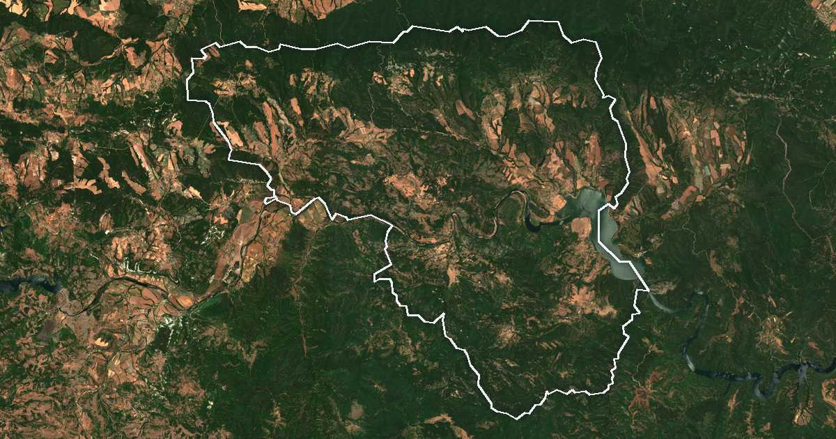 Image satellite avec la limite tracée: Madjarovo
