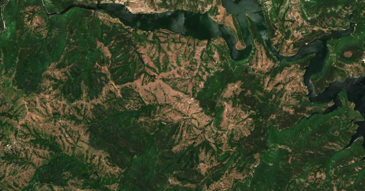 Carte satellite de Borovitsa