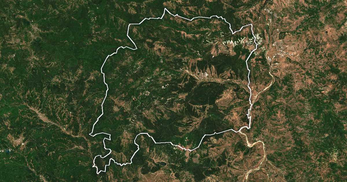 Image satellite avec la limite tracée: Djebel