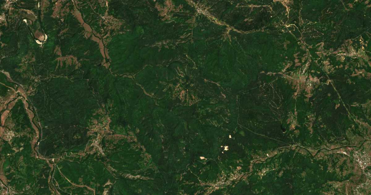 Carte satellite de Tsarino