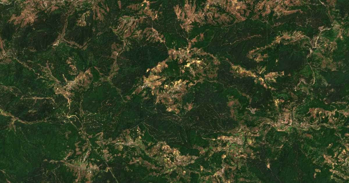 Carte satellite de Pashintsi
