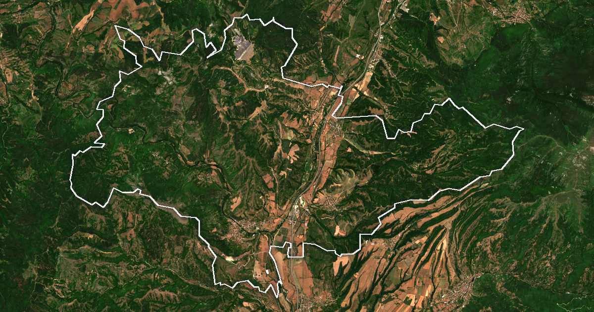 Image satellite avec la limite tracée: Bobochevo
