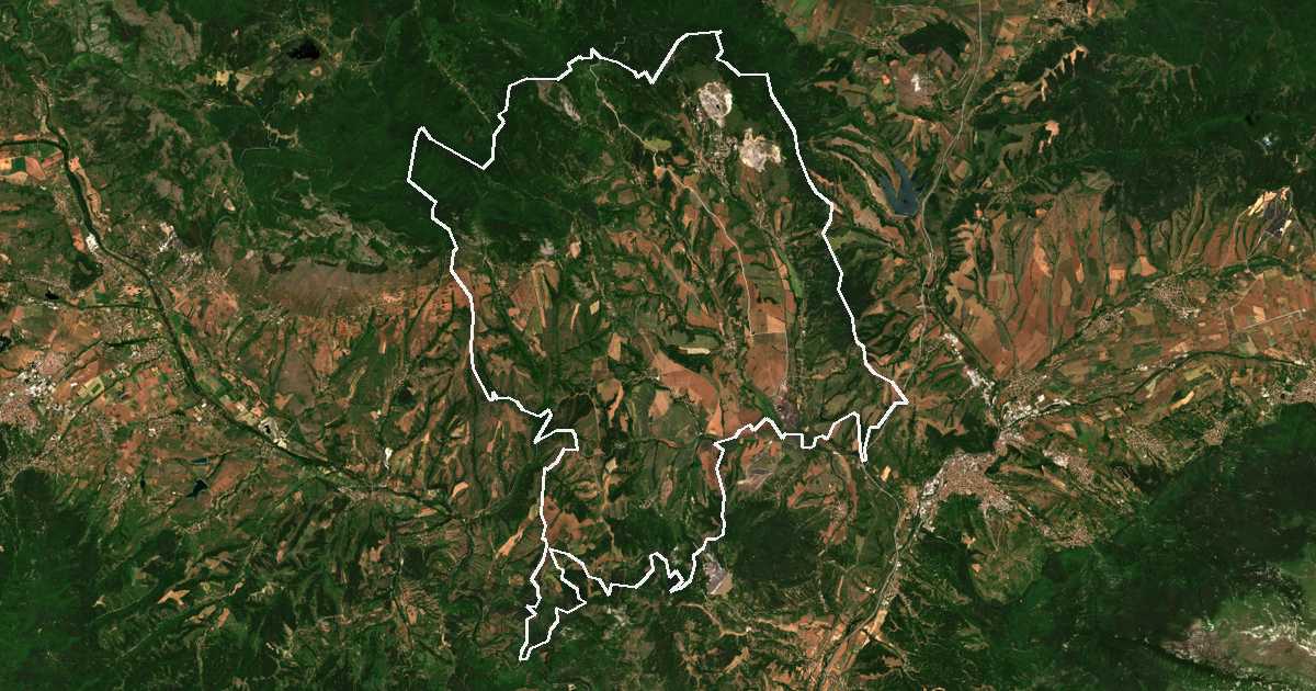 Image satellite avec la limite tracée: Bobov dol