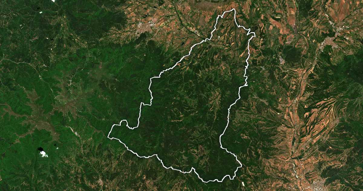 Image satellite avec la limite tracée: Nevestino