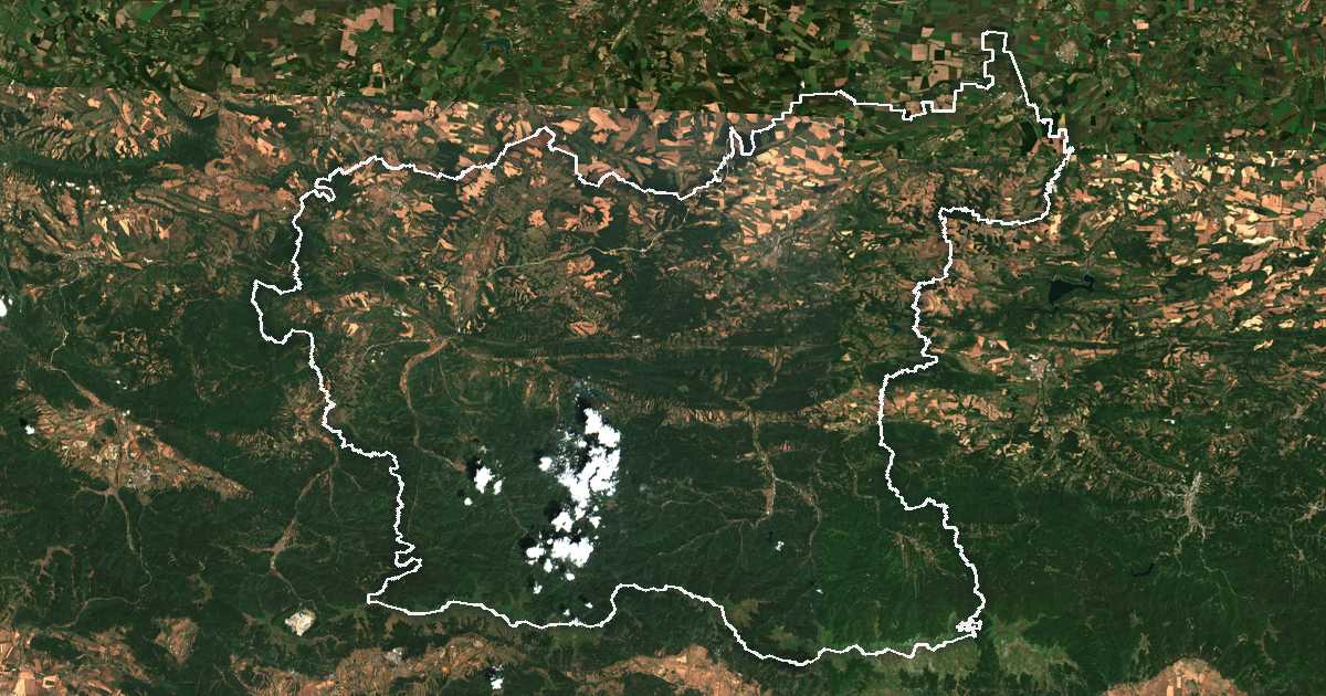 Image satellite avec la limite tracée: Lovetch