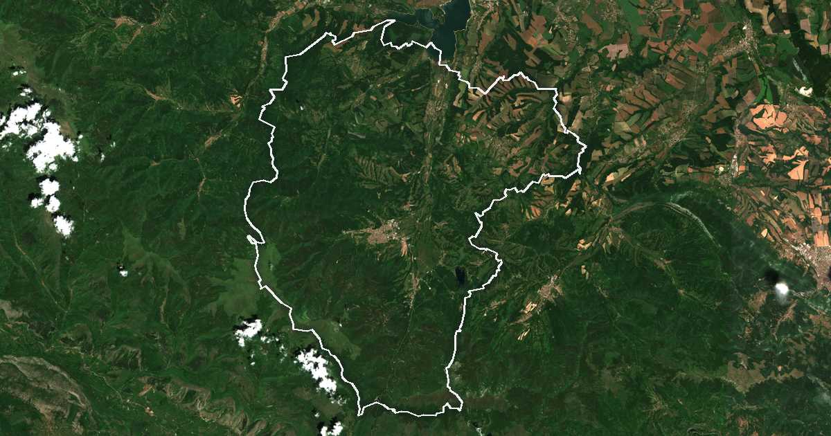 Image satellite avec la limite tracée: Berkovitsa