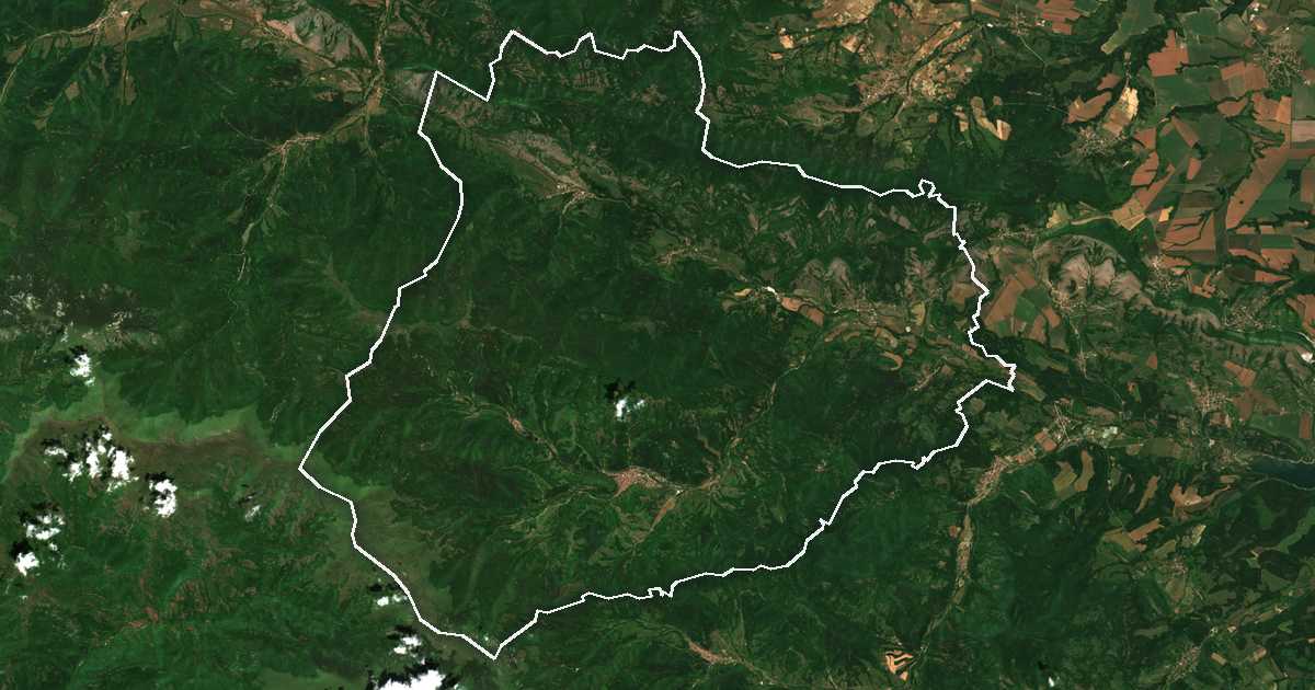 Image satellite avec la limite tracée: Tchiprovtsi