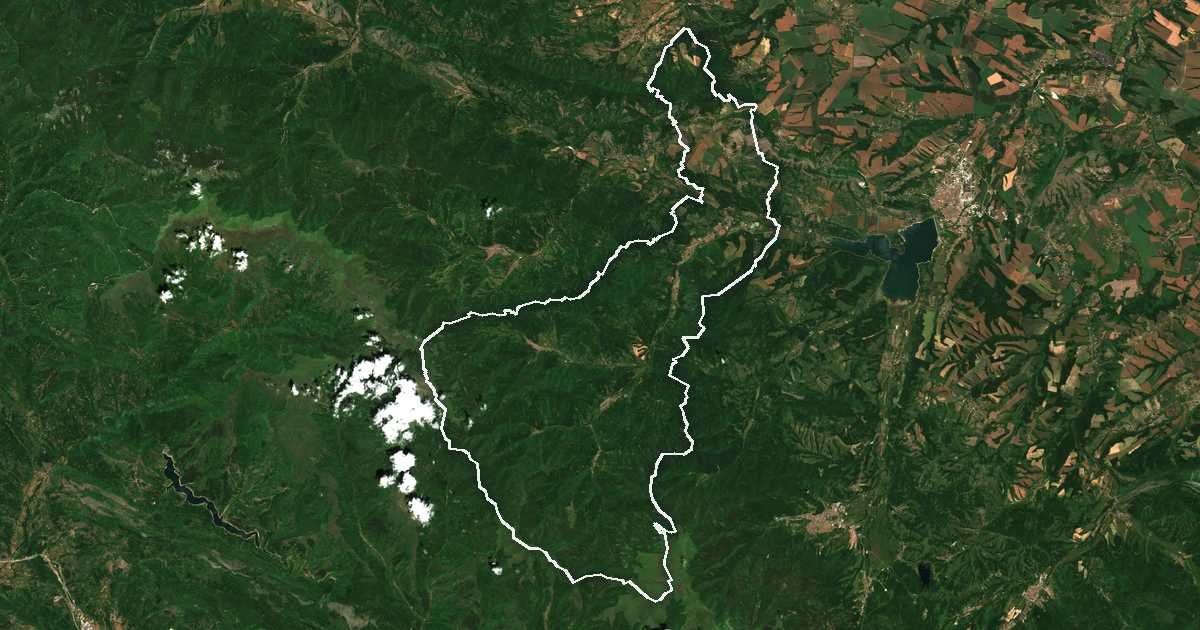 Image satellite avec la limite tracée: Guéorgui Damyanovo