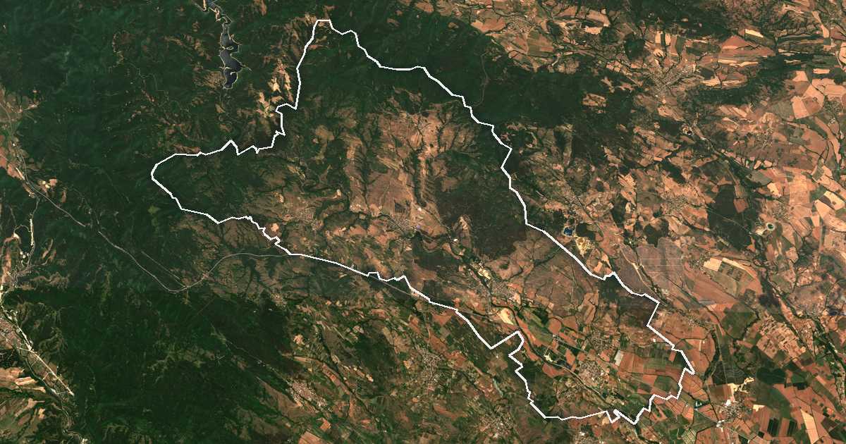 Image satellite avec la limite tracée: Lesitchovo
