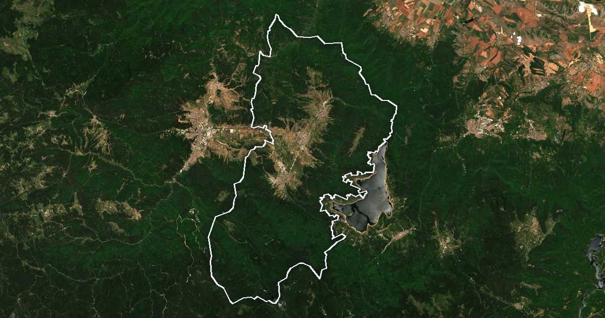 Image satellite avec la limite tracée: Rakitovo