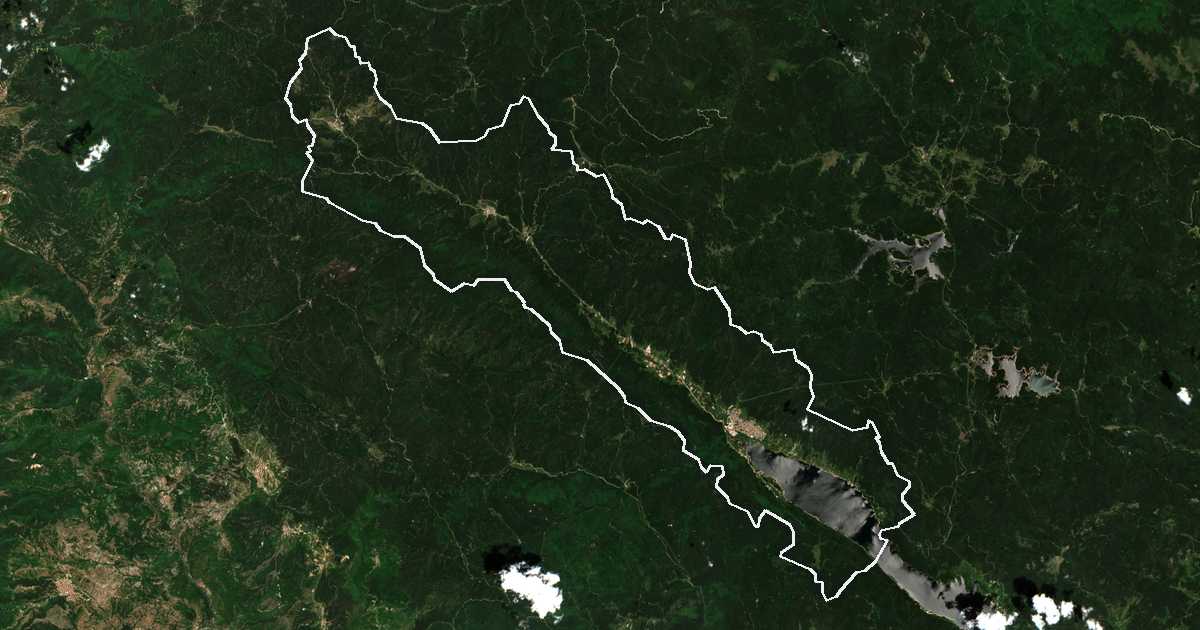 Image satellite avec la limite tracée: Sarnitsa