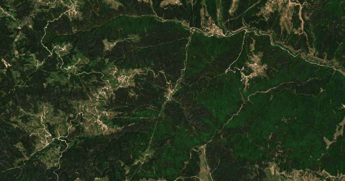 Carte satellite de Tsvetino