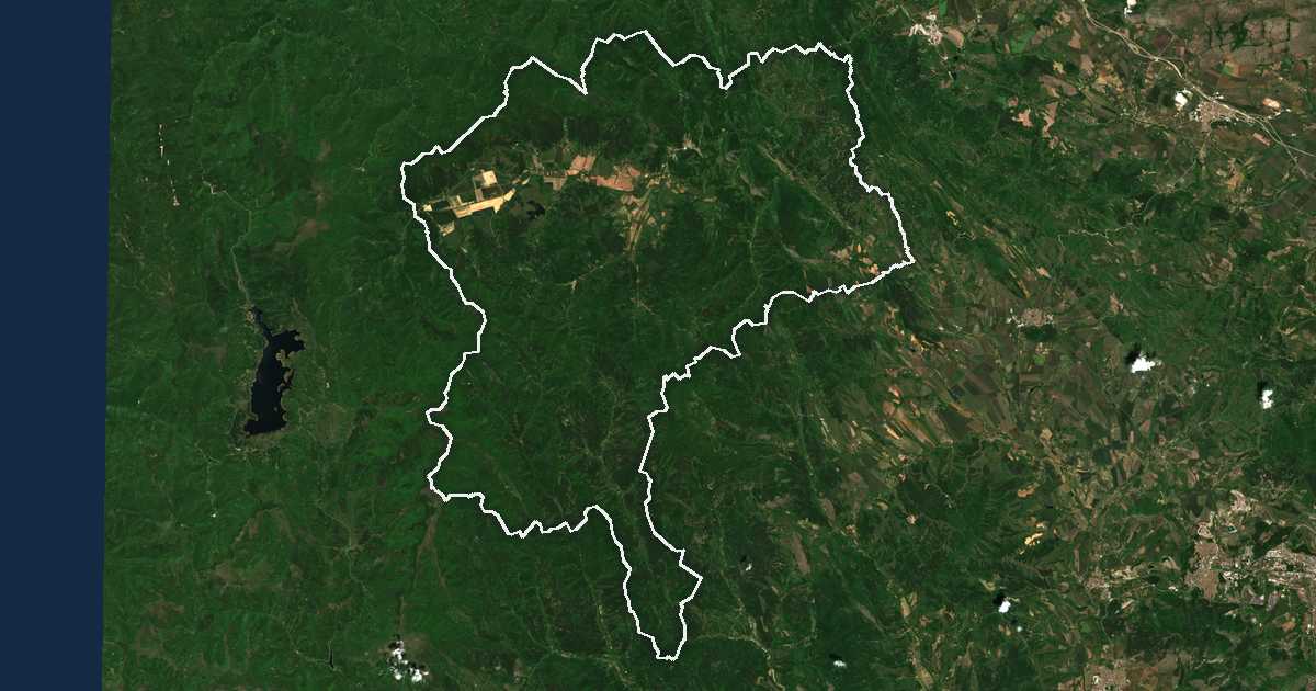 Image satellite avec la limite tracée: Tran