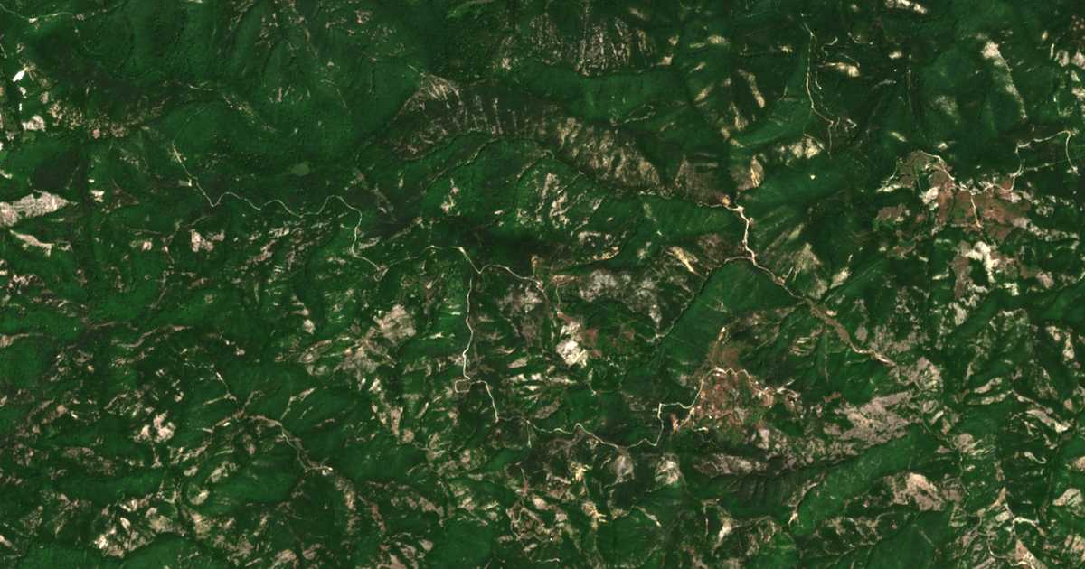 Carte satellite de Bor