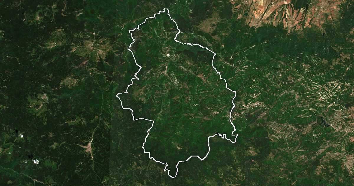 Image satellite avec la limite tracée: Laki