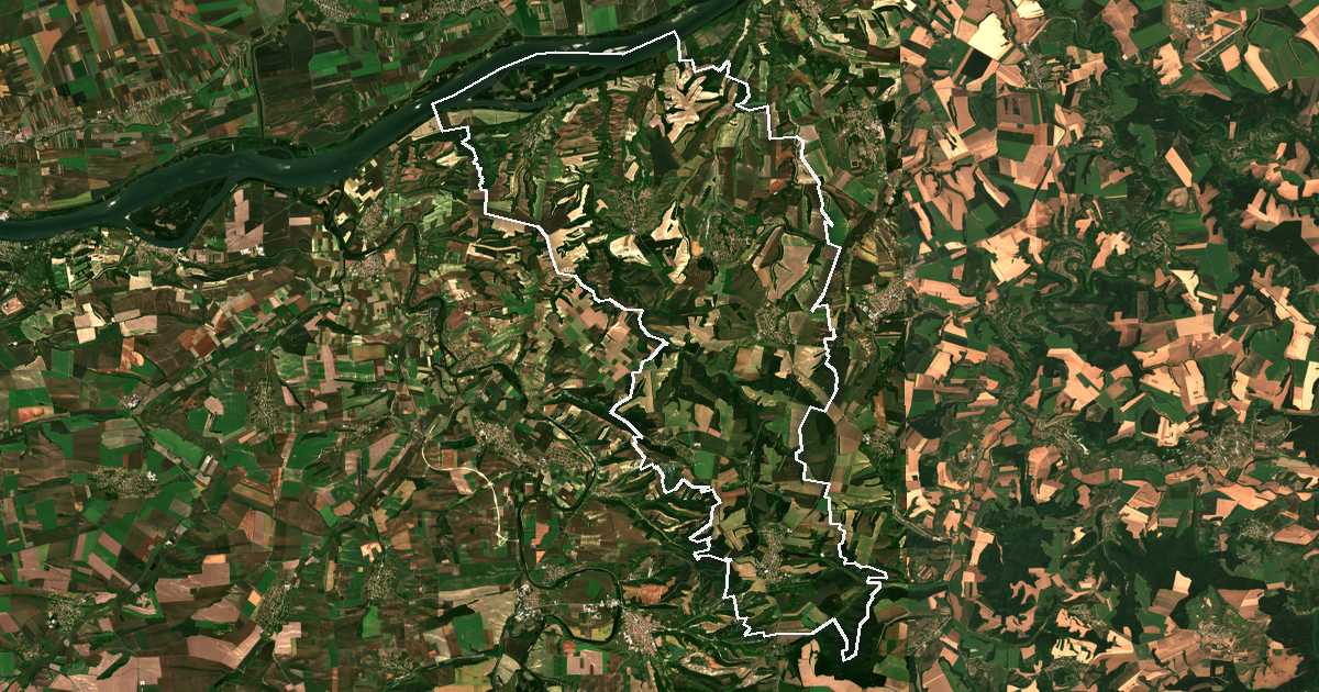 Image satellite avec la limite tracée: Borovo