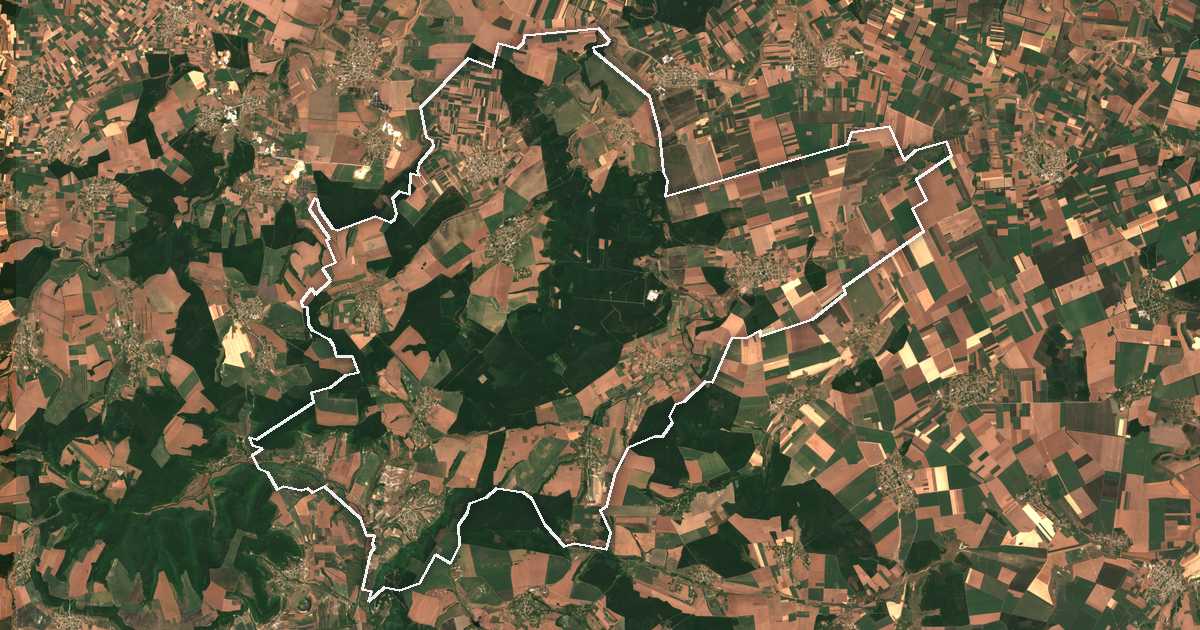 Image satellite avec la limite tracée: Nikola Kozlevo