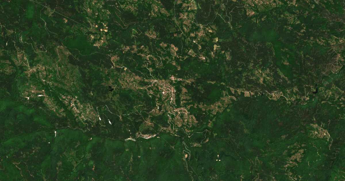 Carte satellite de Davidkovo
