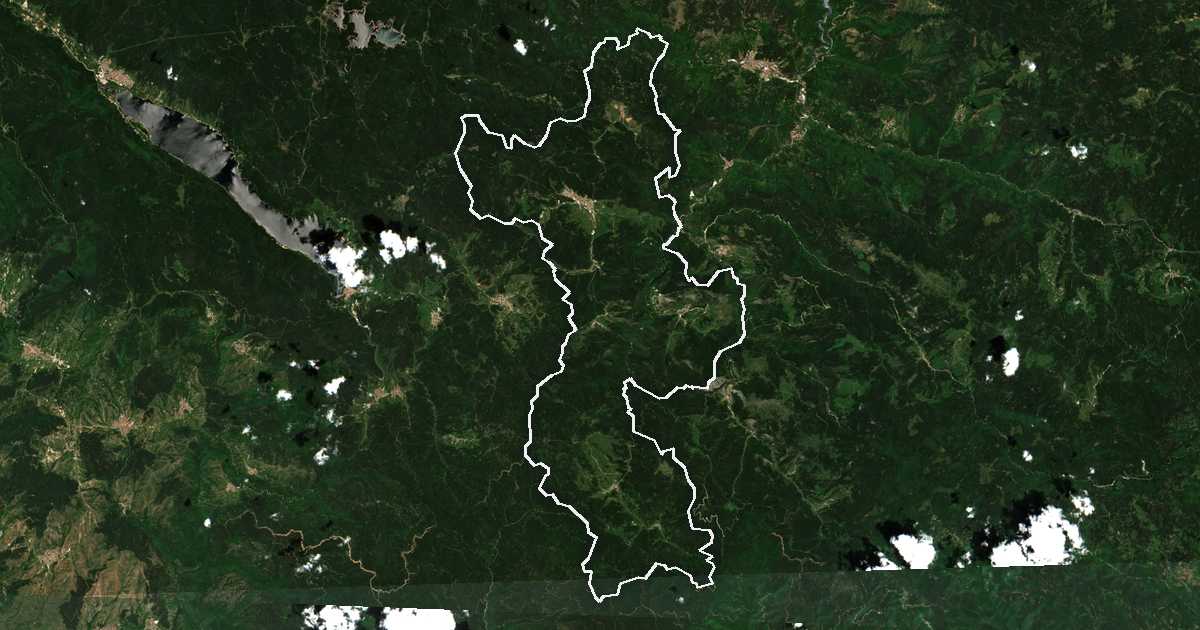 Image satellite avec la limite tracée: Borino