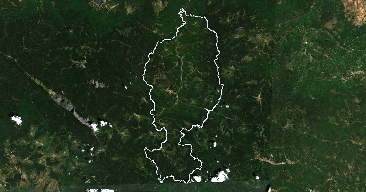 Image satellite avec la limite tracée: Devin