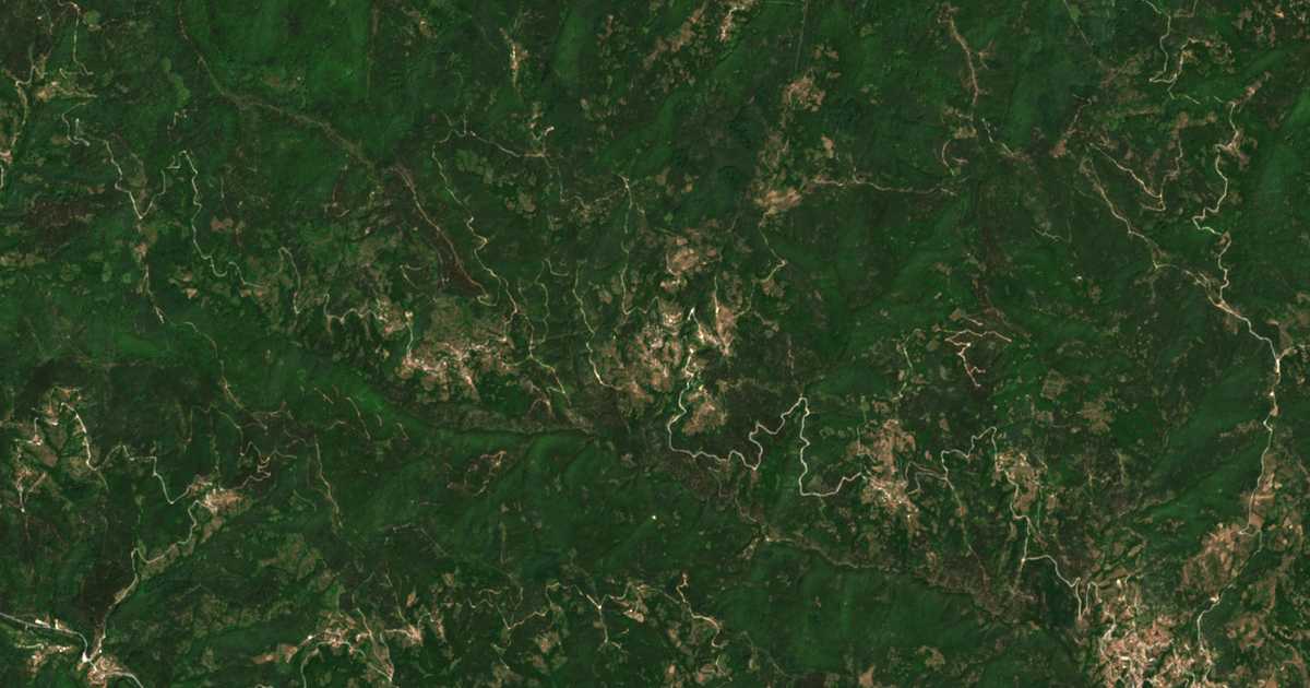 Carte satellite de Borovina
