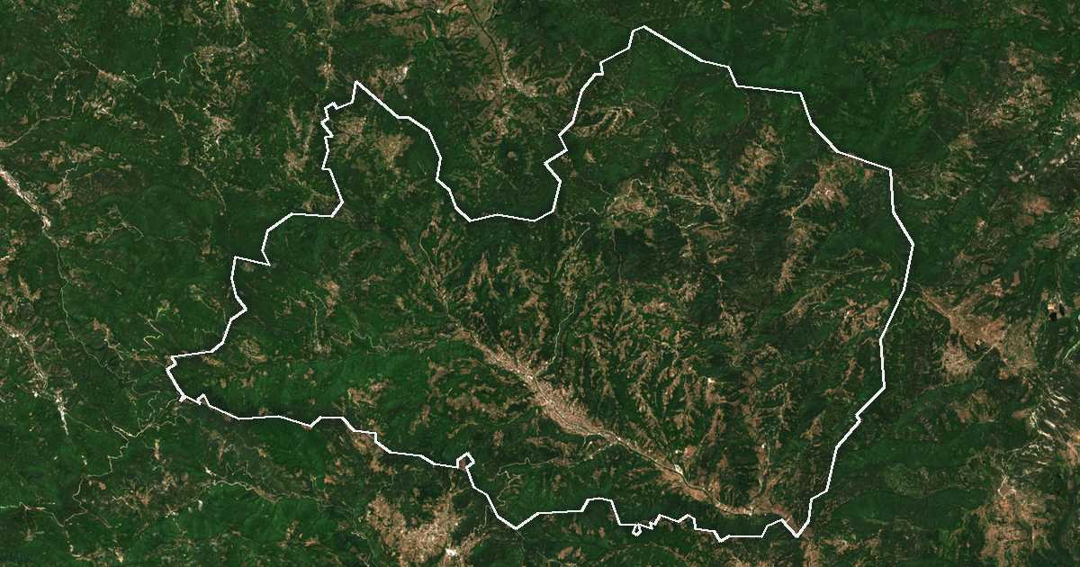 Image satellite avec la limite tracée: Nedelino