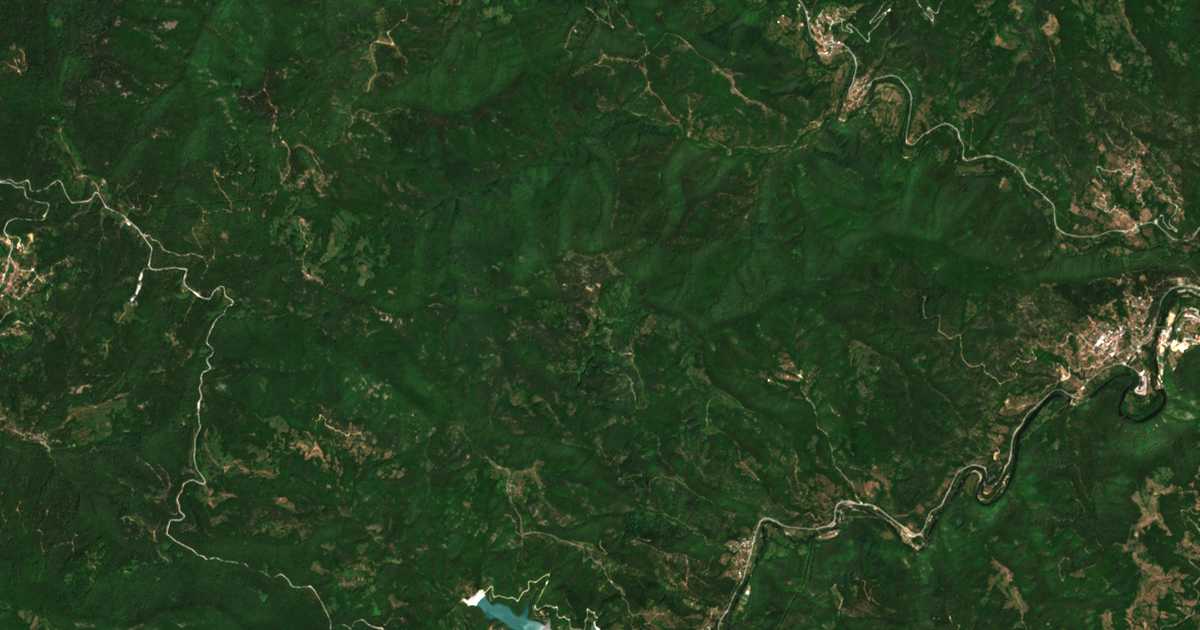 Carte satellite de Dǎbova
