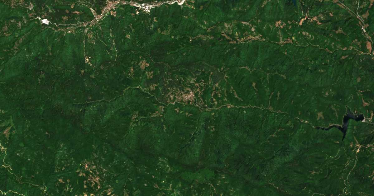 Carte satellite de Alamovtsi