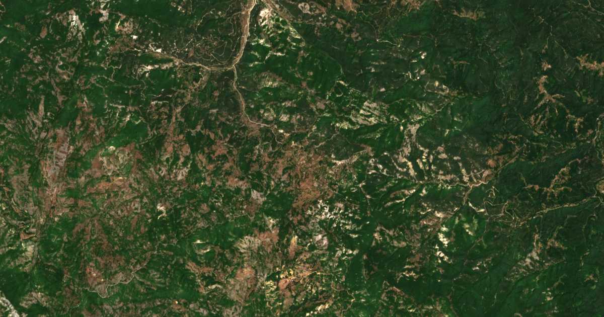 Carte satellite de Kushla