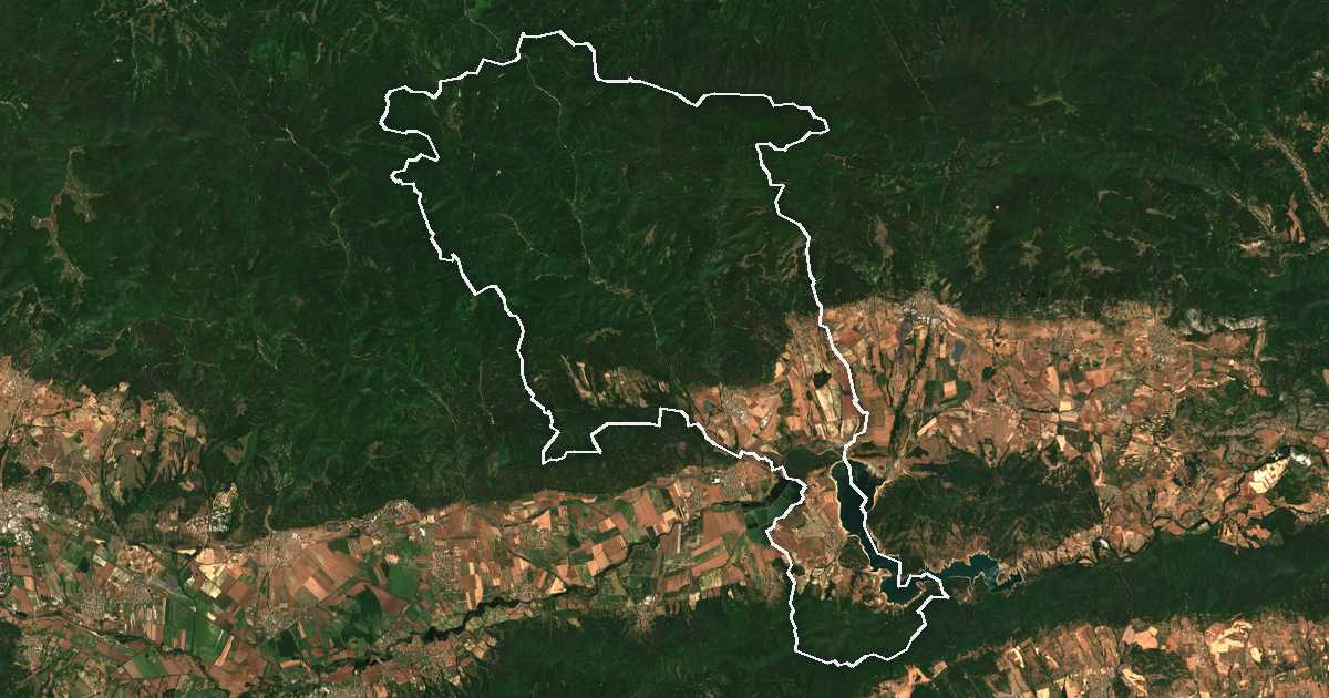 Image satellite avec la limite tracée: Gourkovo