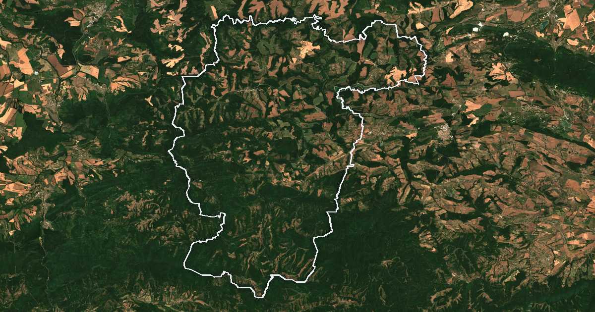 Image satellite avec la limite tracée: Antonovo