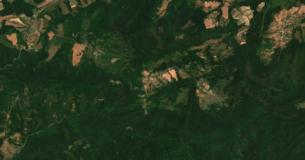 Carte satellite de Ptichevo