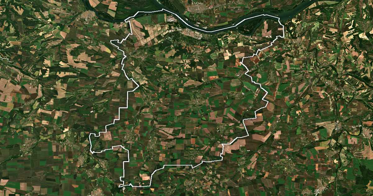 Image satellite avec la limite tracée: Svichtov