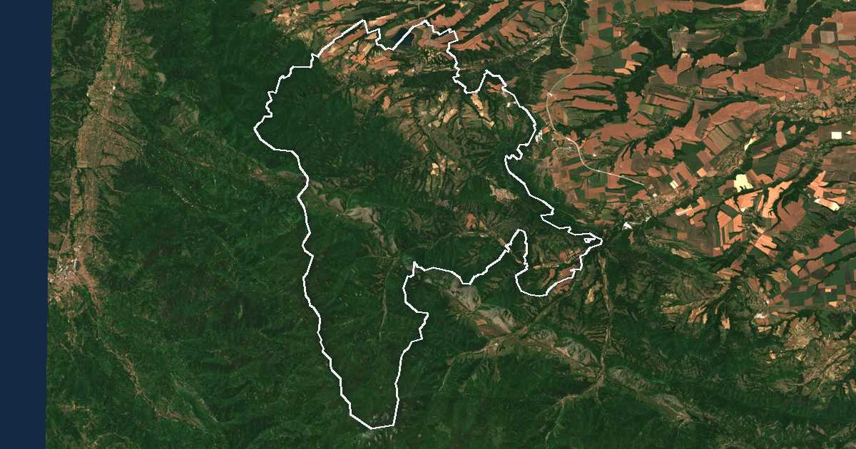 Image satellite avec la limite tracée: Bélogradtchik