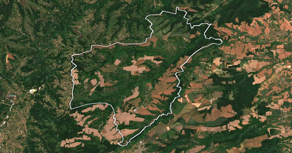 Image satellite avec la limite tracée: Boïnitsa