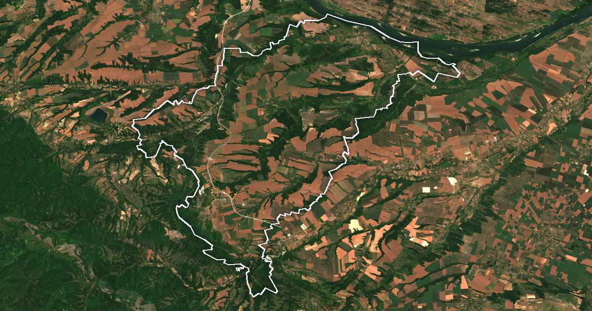 Image satellite avec la limite tracée: Dimovo
