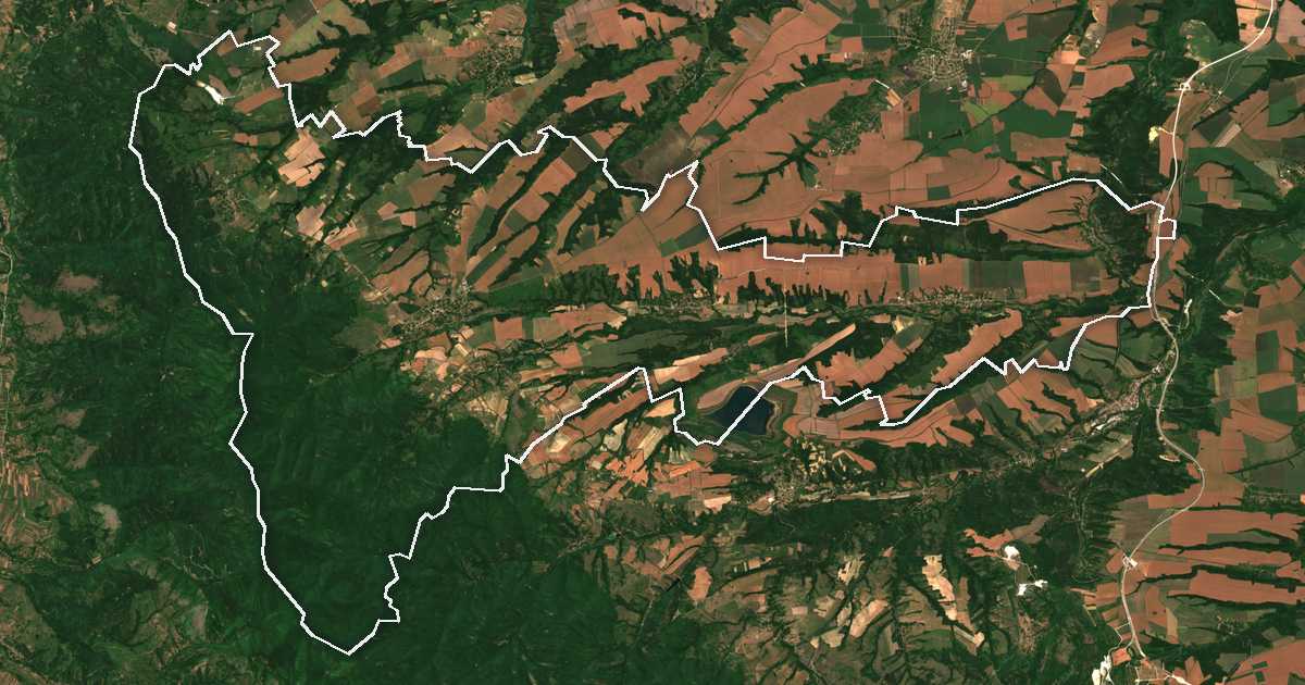 Image satellite avec la limite tracée: Makréch
