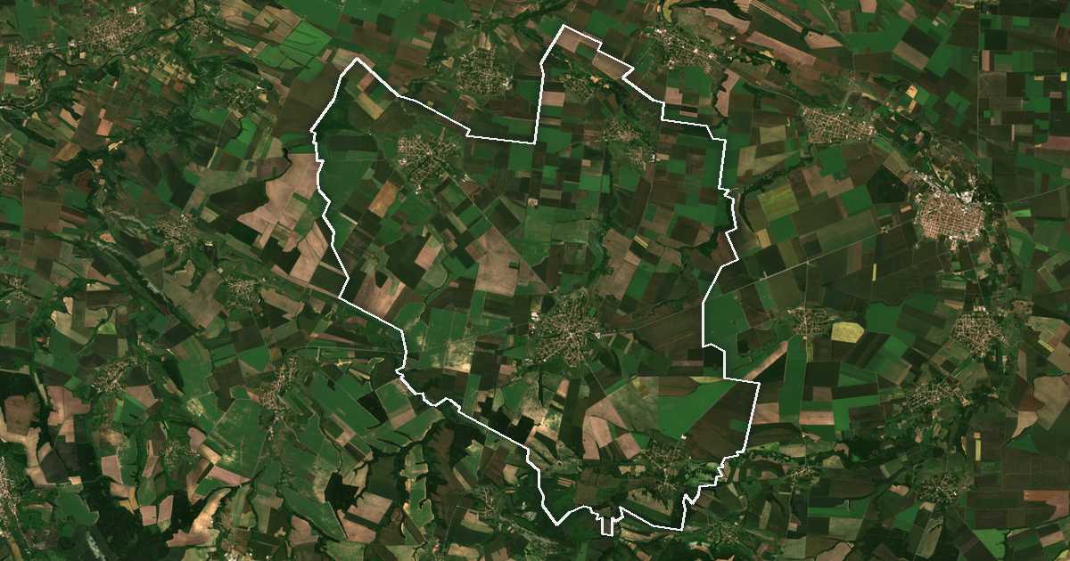 Image satellite avec la limite tracée: Borovan