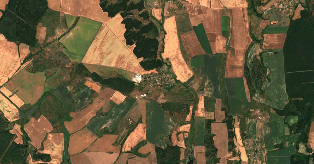Carte satellite de Drjanovo