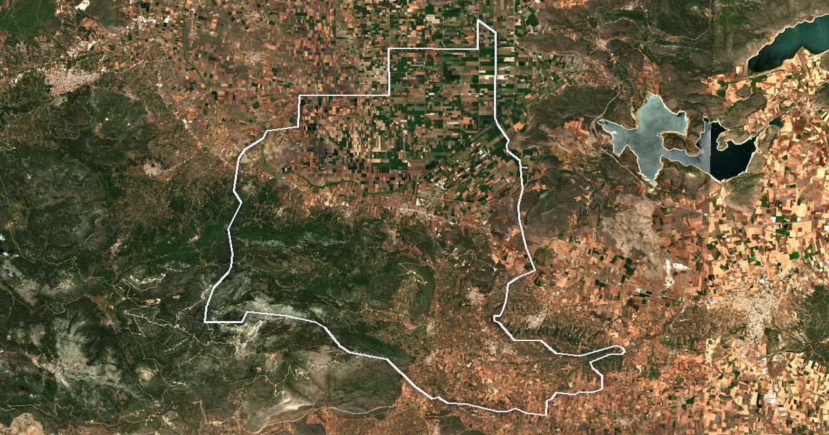 Image satellite avec la limite tracée: d'Alíartos-Thespiés