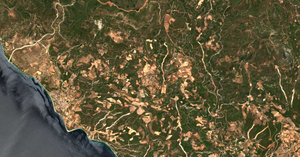 Carte satellite de Damiá