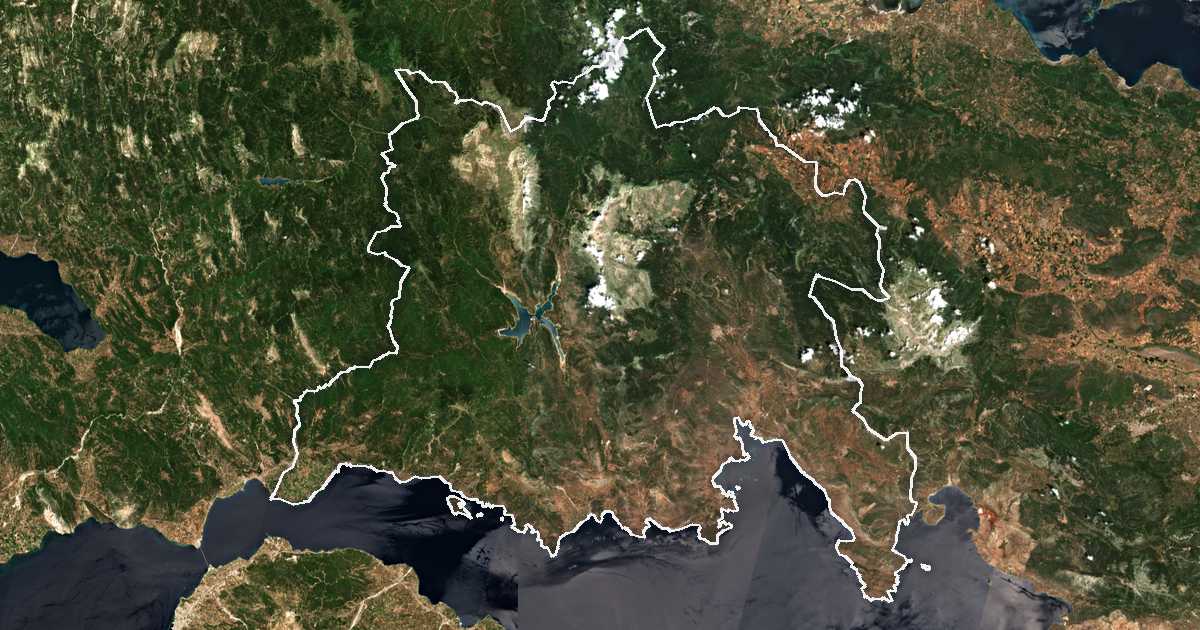 Image satellite avec la limite tracée: Phocide